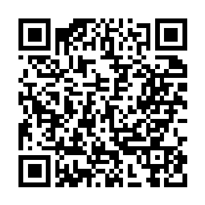 Link to your fundraiser QRCode - Fundraising