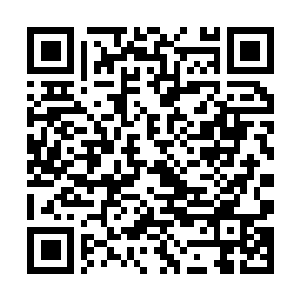 Link to your fundraiser QRCode - Fundraising