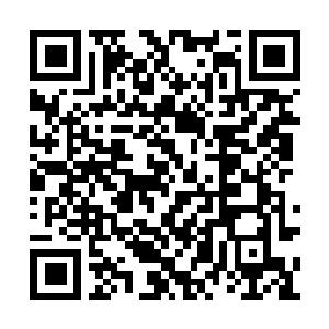 Link to your fundraiser QRCode - Fundraising