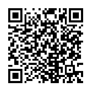 Link to your fundraiser QRCode - Fundraising