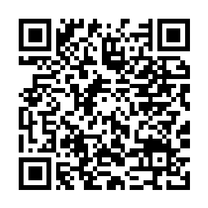 Link to your fundraiser QRCode - Fundraising