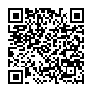 Link to your fundraiser QRCode - Fundraising