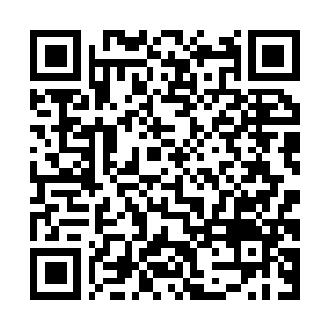 Link to your fundraiser QRCode - Fundraising