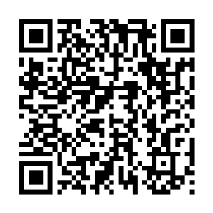 Link to your fundraiser QRCode - Fundraising