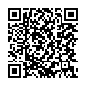 Link to your fundraiser QRCode - Fundraising