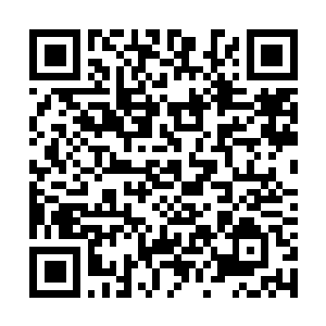 Link to your fundraiser QRCode - Fundraising