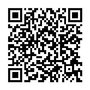Link to your fundraiser QRCode - Fundraising