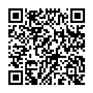 Link to your fundraiser QRCode - Fundraising