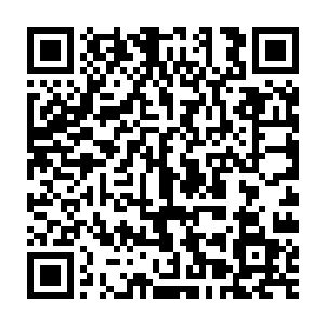 Link to your fundraiser QRCode - Fundraising