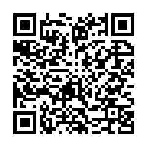 Link to your fundraiser QRCode - Fundraising