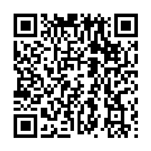 Link to your fundraiser QRCode - Fundraising