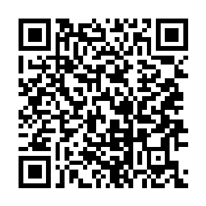 Link to your fundraiser QRCode - Fundraising