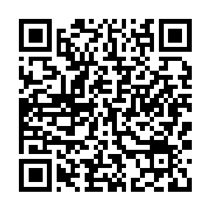 Link to your fundraiser QRCode - Fundraising