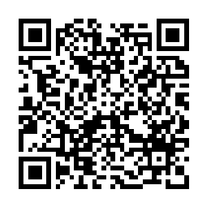 Link to your fundraiser QRCode - Fundraising