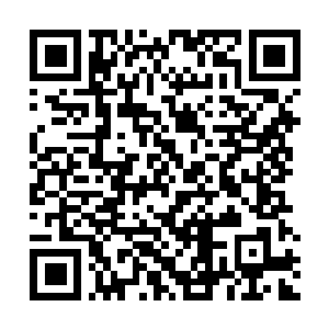 Link to your fundraiser QRCode - Fundraising