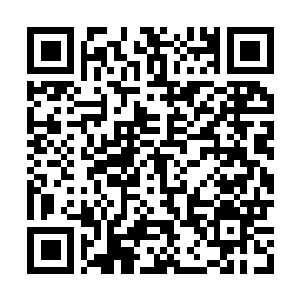 Link to your fundraiser QRCode - Fundraising