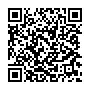 Link to your fundraiser QRCode - Fundraising