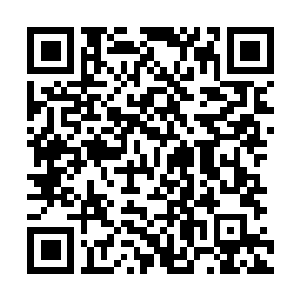 Link to your fundraiser QRCode - Fundraising