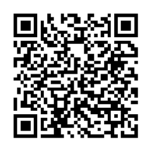 Link to your fundraiser QRCode - Fundraising