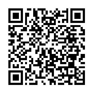 Link to your fundraiser QRCode - Fundraising