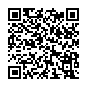 Link to your fundraiser QRCode - Fundraising