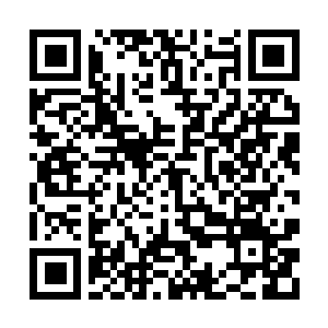 Link to your fundraiser QRCode - Fundraising