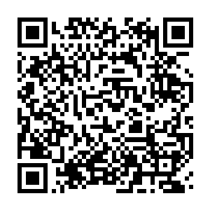 Link to your fundraiser QRCode - Fundraising