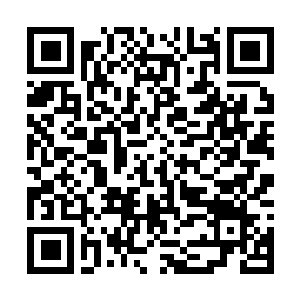Link to your fundraiser QRCode - Fundraising