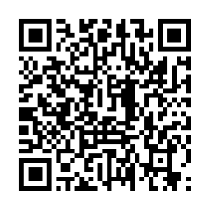 Link to your fundraiser QRCode - Fundraising