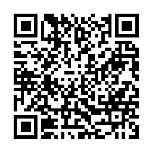Link to your fundraiser QRCode - Fundraising