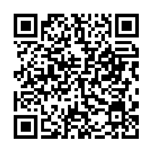 Link to your fundraiser QRCode - Fundraising