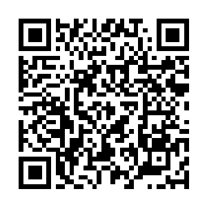 Link to your fundraiser QRCode - Fundraising
