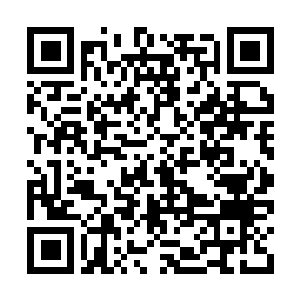 Link to your fundraiser QRCode - Fundraising