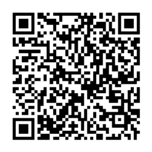 Link to your fundraiser QRCode - Fundraising
