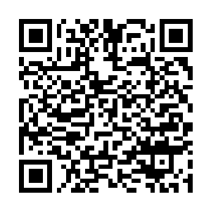 Link to your fundraiser QRCode - Fundraising