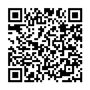 Link to your fundraiser QRCode - Fundraising