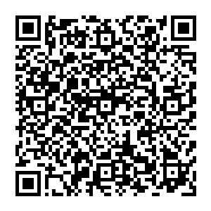 Link to your fundraiser QRCode - Fundraising