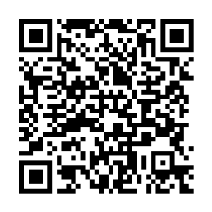 Link to your fundraiser QRCode - Fundraising