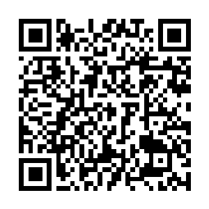 Link to your fundraiser QRCode - Fundraising