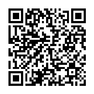Link to your fundraiser QRCode - Fundraising