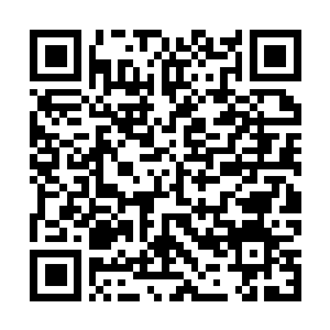 Link to your fundraiser QRCode - Fundraising