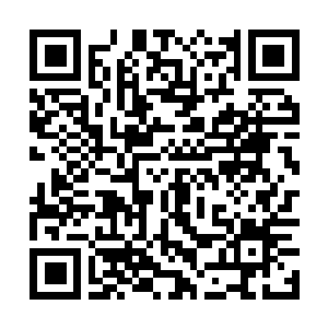 Link to your fundraiser QRCode - Fundraising