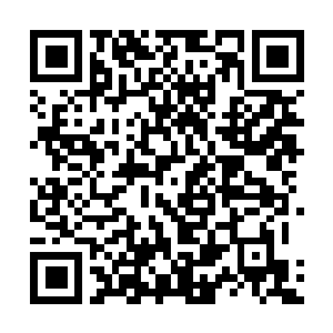 Link to your fundraiser QRCode - Fundraising