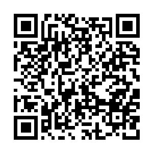 Link to your fundraiser QRCode - Fundraising