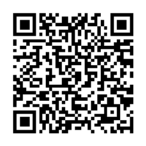 Link to your fundraiser QRCode - Fundraising
