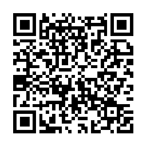 Link to your fundraiser QRCode - Fundraising