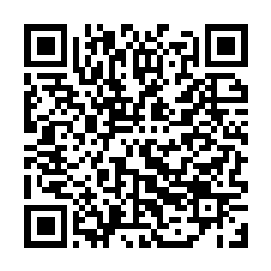 Link to your fundraiser QRCode - Fundraising