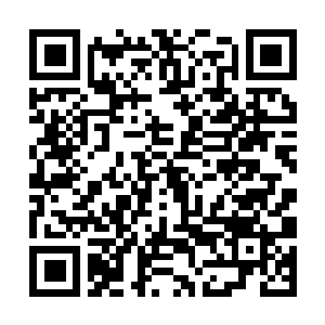 Link to your fundraiser QRCode - Fundraising