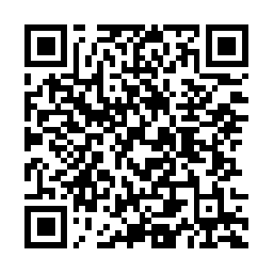 Link to your fundraiser QRCode - Fundraising