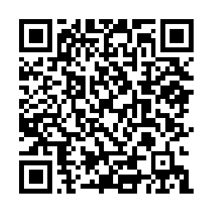 Link to your fundraiser QRCode - Fundraising